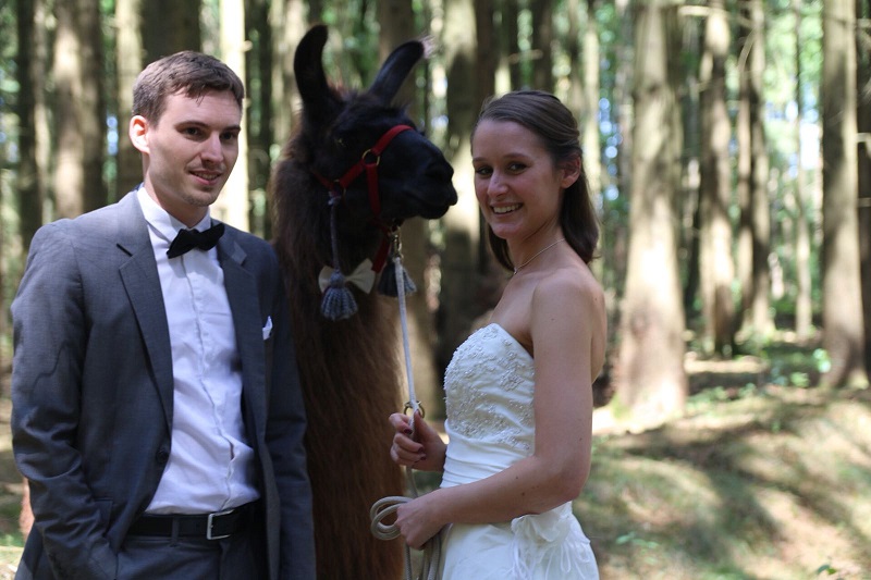 hochzeit