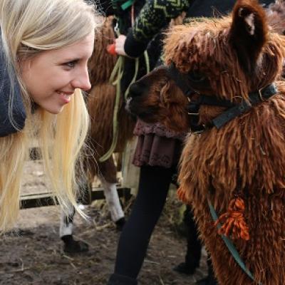 Alpaka Iggy von der kleinen Wunderwiese und Frau schauen sich an