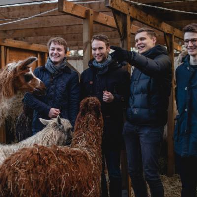 Männergruppe beobachtet Alpakas und Lamas auf der Kleinen Wunderwiese