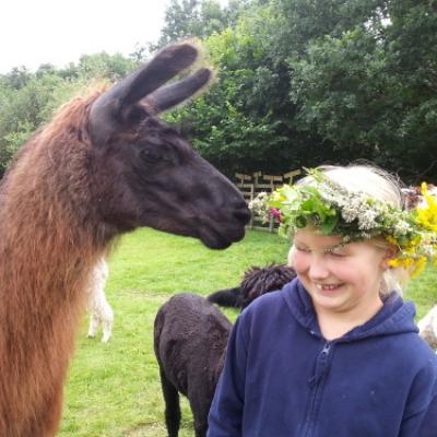 Lama schnüffelt an Blumenkranz im Haar eines Mädchens