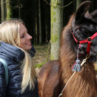 Junge Frau guckt Lama verliebt an