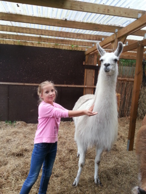 Kind streichelt Lama