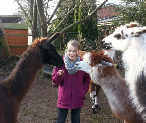 Kind umringt von Lamas und Alpakas